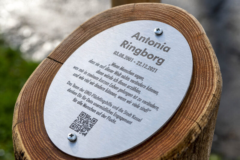 Gedenkbaum für Antonia Ringborg
