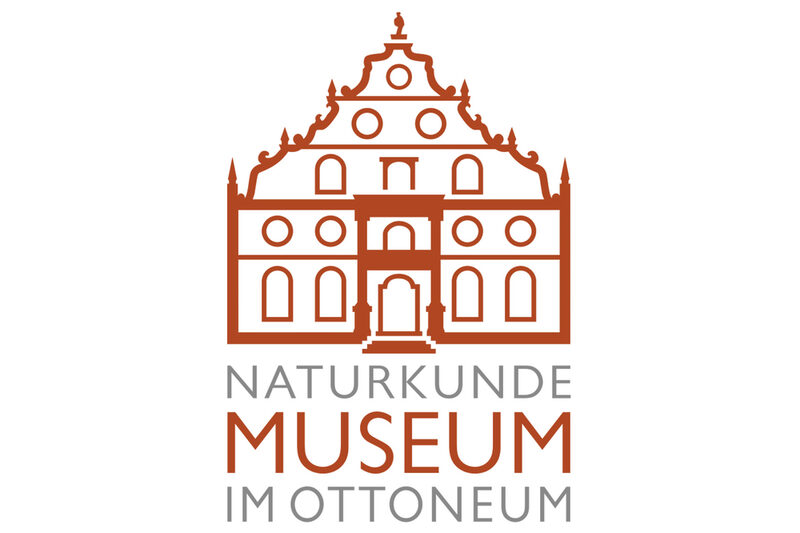 Logo vom Naturkundemuseum Kassel