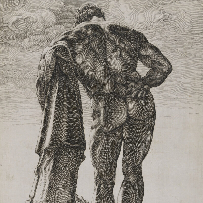 Herkules von Farnese von Hendrick Goltzius