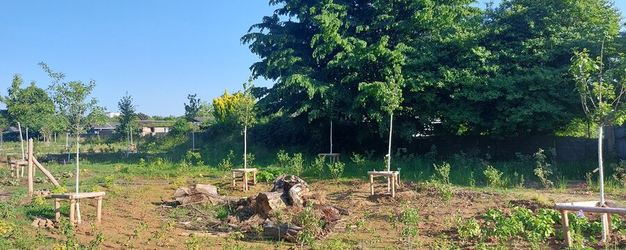 Bepflanzte Versickerungsmulde in einem großen Garten