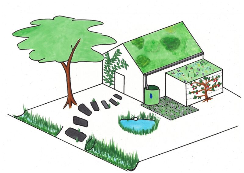 Haus und Garten mit verschiedenen Schwammstadtelementen