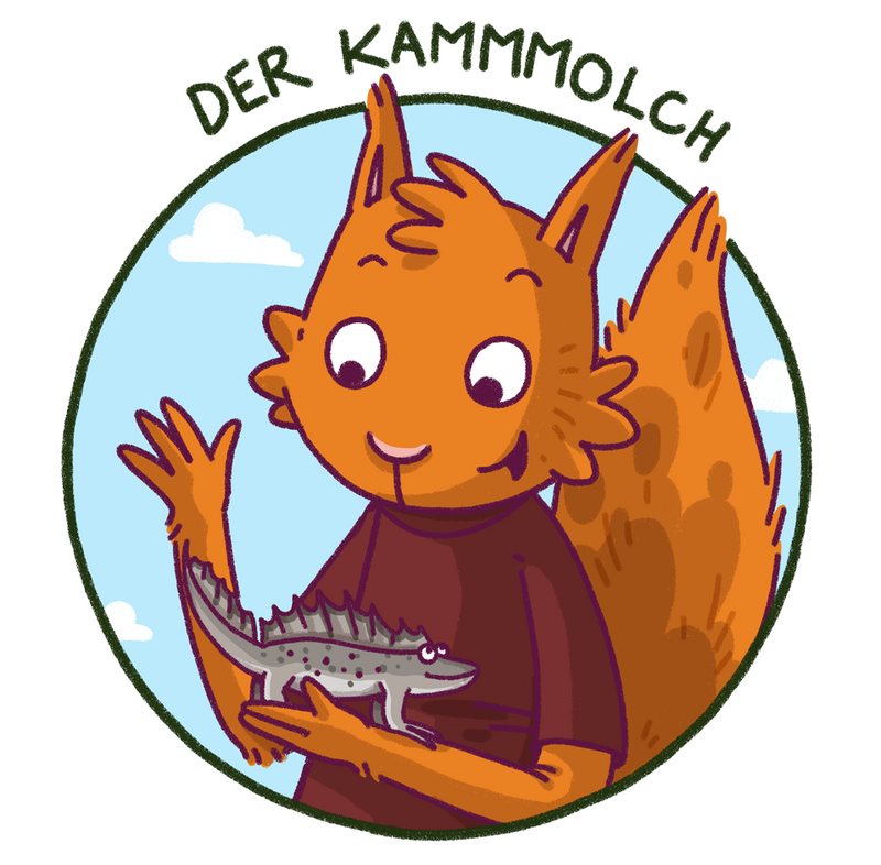 Eine Zeichnung zeigt ein Baumhörnchen, das einen Kammolch in der Hand hält.