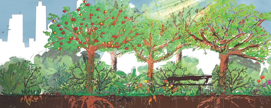 Ein gemaltes Bild, wie ein urbaner Waldgarten aussehen kann: Mit Obstbäumen mitten in der Stadt