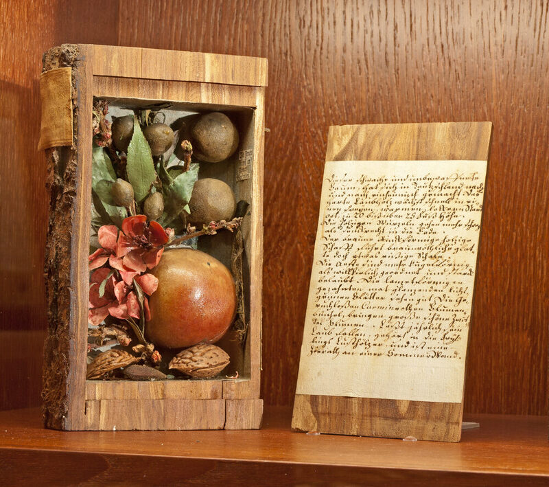 Pfirsich aus der schildbachschen Holzbibliothek