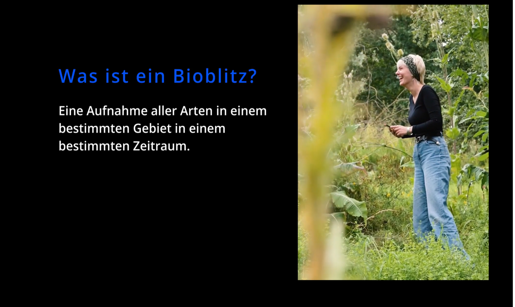Erklärfilm zum Bioblitz 2022.