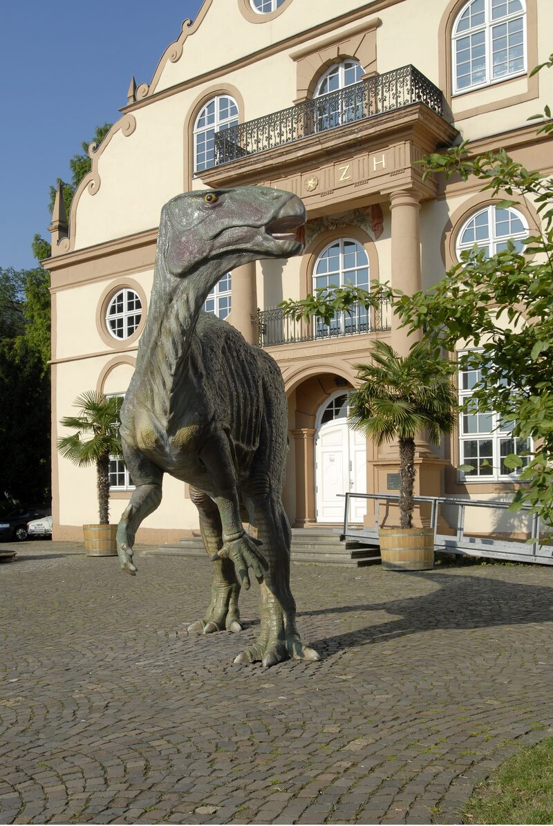 Iguanodon-Rekonstruktion steht vor dem Naturkundemuseum