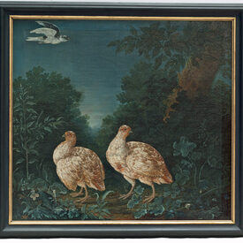 Gemälde mit dem Titel "Varietäten von Feldhühnern"