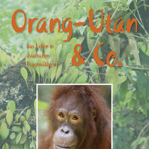 Plakat zur Sonderausstellung "Orang-Utan & Co - Das Leben in asiatischen Regenwäldern" mit Foto eines Orang-Utans.