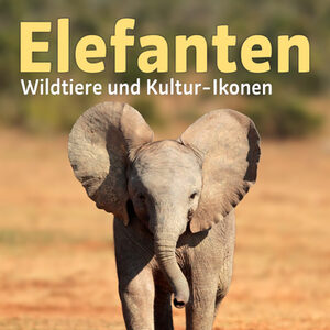 Plakat der Sonderausstellung "Elefanten. Wildtiere und Natur-Ikonen" mit einem jungen afrikanischen Elefanten