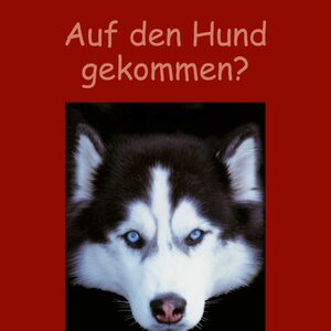 Plakat der Sonderausstellung "Auf den Hund gekommen?" mit Porträt eines Huskys.