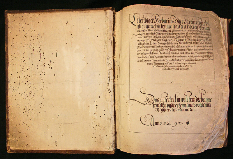 Titelblatt des ersten Bandes des Herbariums von Caspar Ratzenberger (1592)