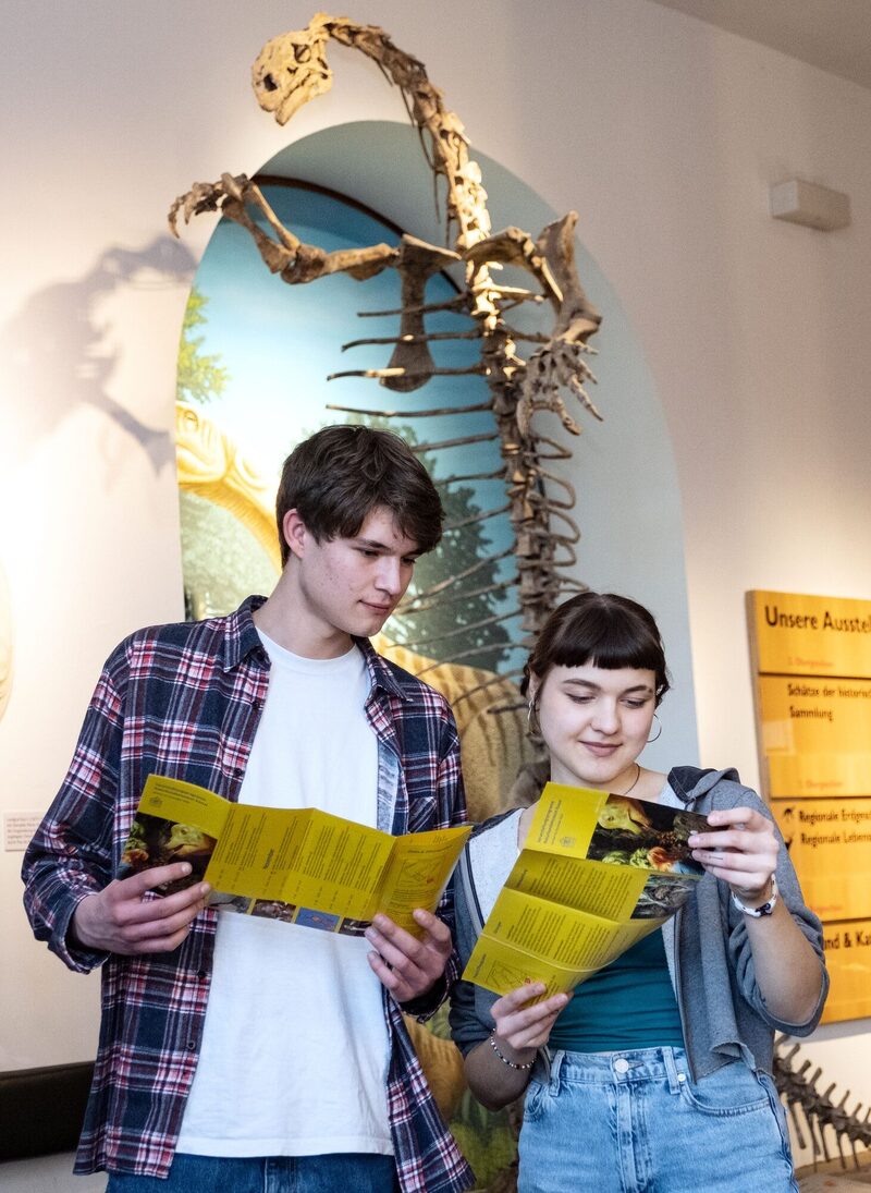 Zwei junge Menschen schauen sich das Programm des Naturkundemuseums im Foyer an.