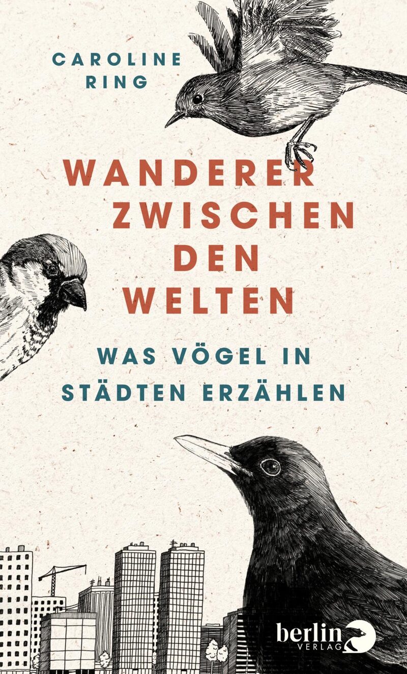 Buchcover Caroline Ring Wanderer zwischen den Welten Was Vögel in Städten erzählen