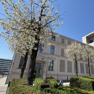 Außenansicht des Stadtmuseums mit blühenden Kirschbäumen