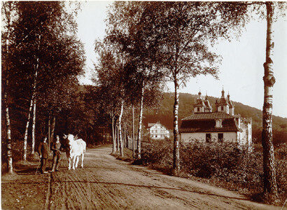Bergstrasse Pferdekopfhaus um 1910 (heute Konrad-Adenauer-Straße)