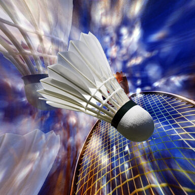 Badminton Game. Badminton Racket and Shuttlecock. Badminton Memory.