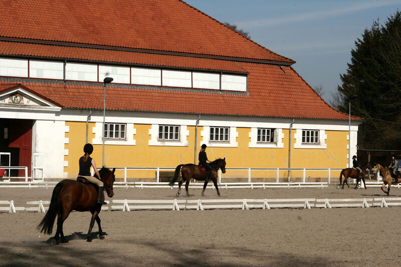 Mädchen beim Pferdereiten auf einem Reiterhof